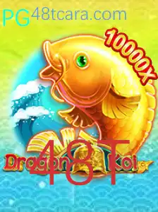 Descubra o Fascinante Mundo de DragonKoi: O Jogo Inovador com a Chave para a Vitória
